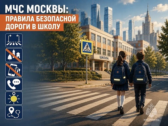 МЧС Москвы: правила безопасной дороги в школу