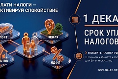 Что делать, если налоговое уведомление не получено