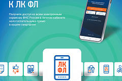 Цифровая экосистема ФНС России