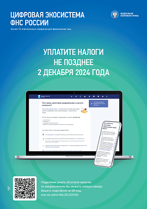 Уплатите налоги не позднее 2 декабря 2024 года